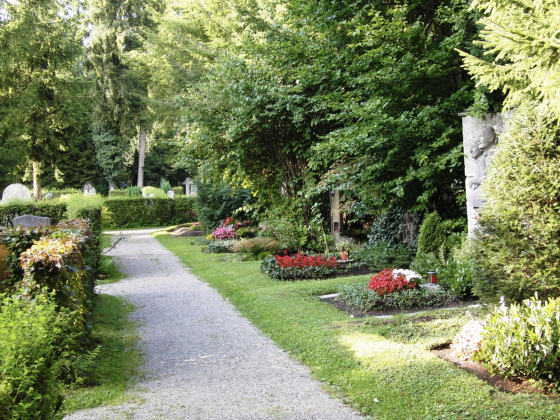 Bildschirmfoto 2025 05 13 um 11.56.26